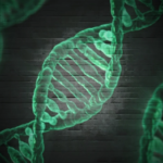 生命の情報を運んでいるDNAのイメージ図