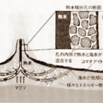 熱水噴出孔の図