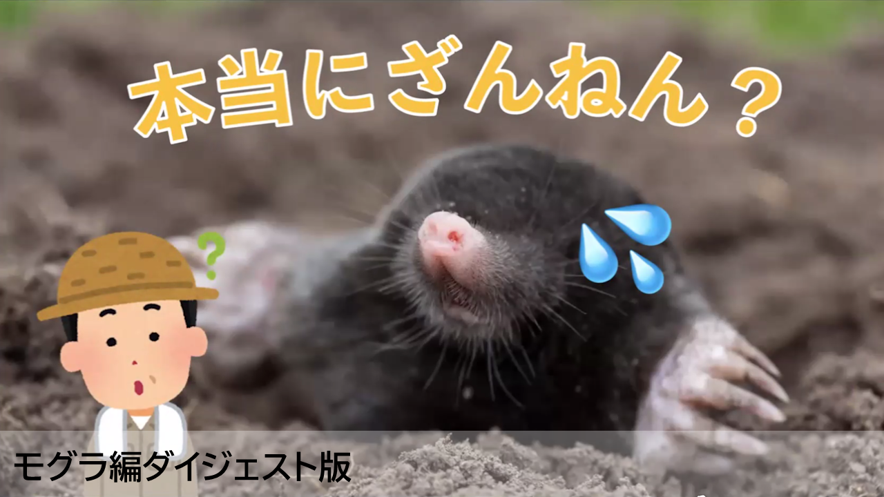モグラ編ダイジェスト版